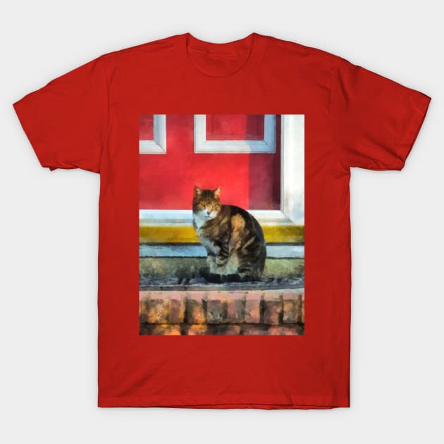 Cats - Tabby Cat by Red Door T-Shirt by SusanSavad